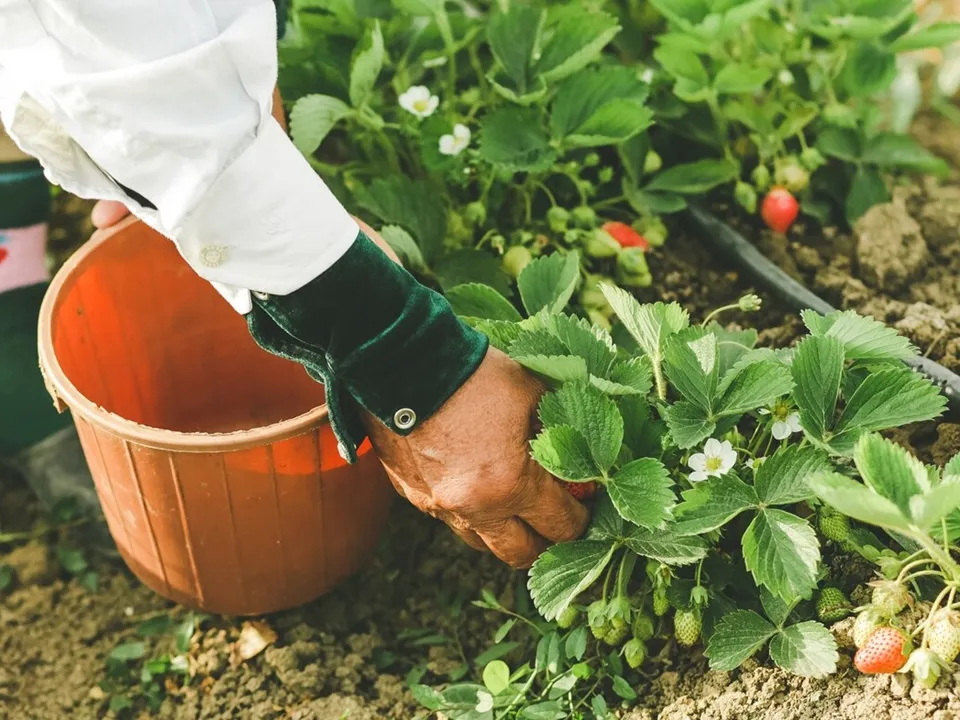 Фото: freepik.com