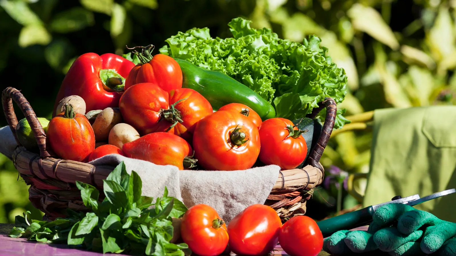 Фото: freepik.com