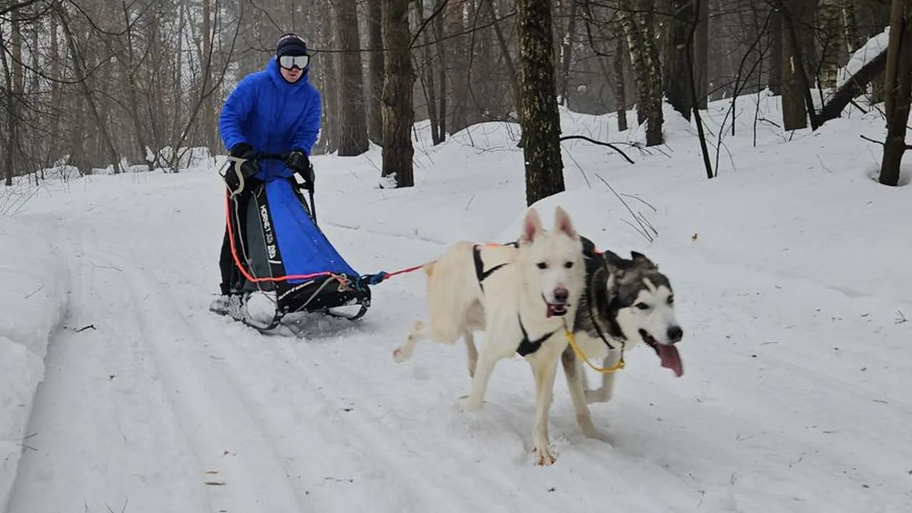 МедиаБанк Подмосковья/Ольга Вельшикаева