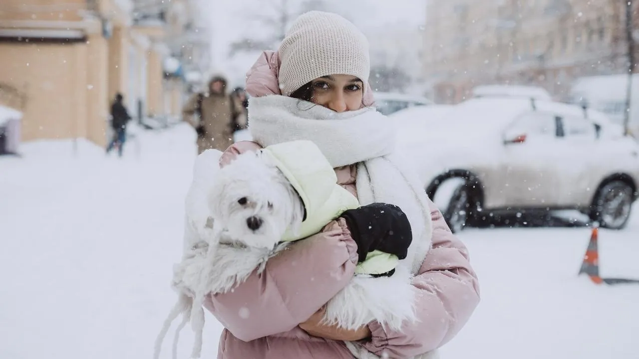 Сильное похолодание и гололедица ожидают жителей Москвы и Подмосковья на неделе