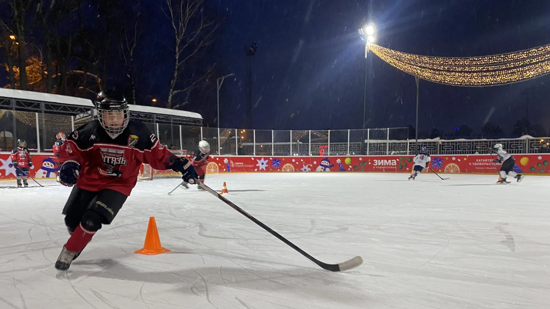 Анна Артюшина