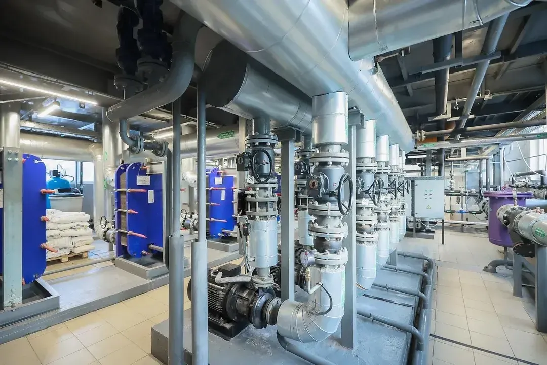 Фото: пресс-служба губернатора и правительства Московской области