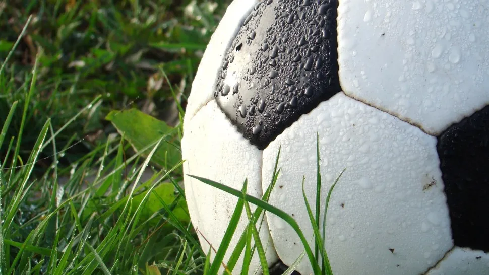 Фото: pxhere.com