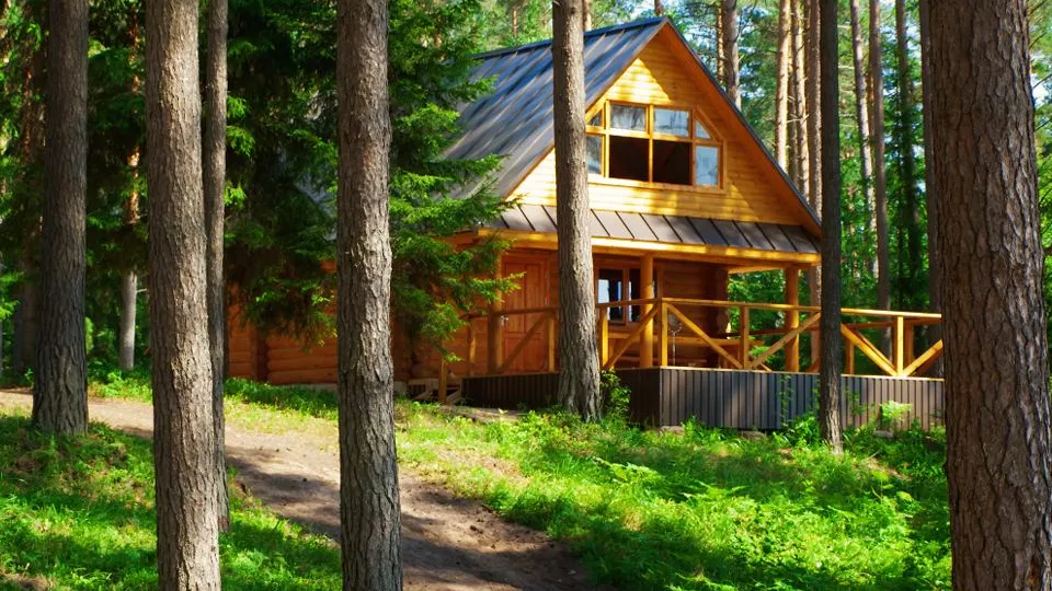 Фото: istockphoto.com