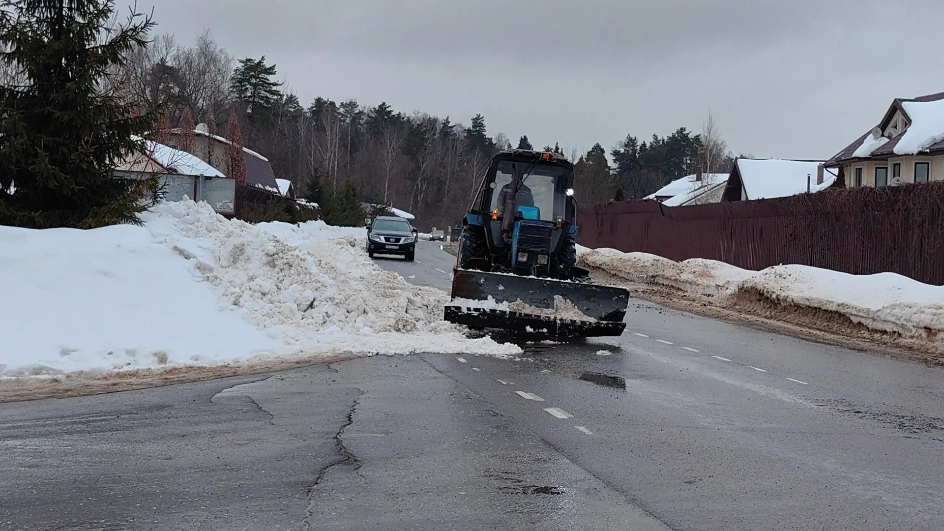 Елена Катасонова