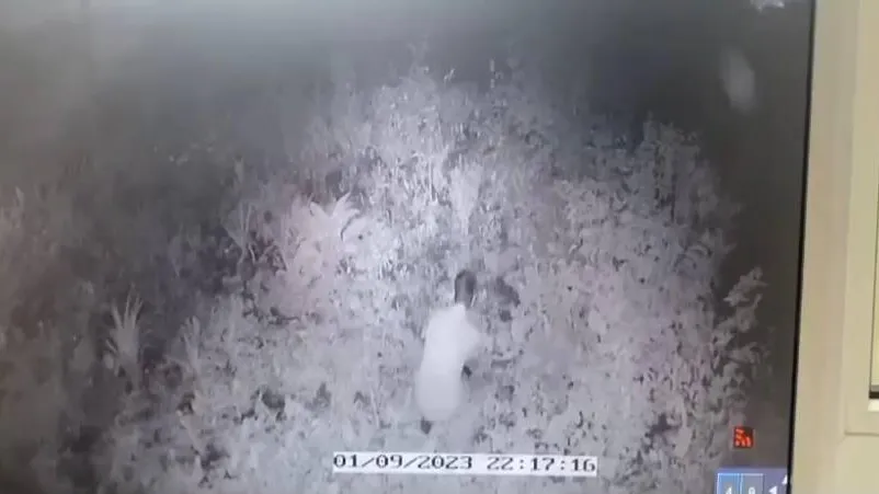 фото: соцсети