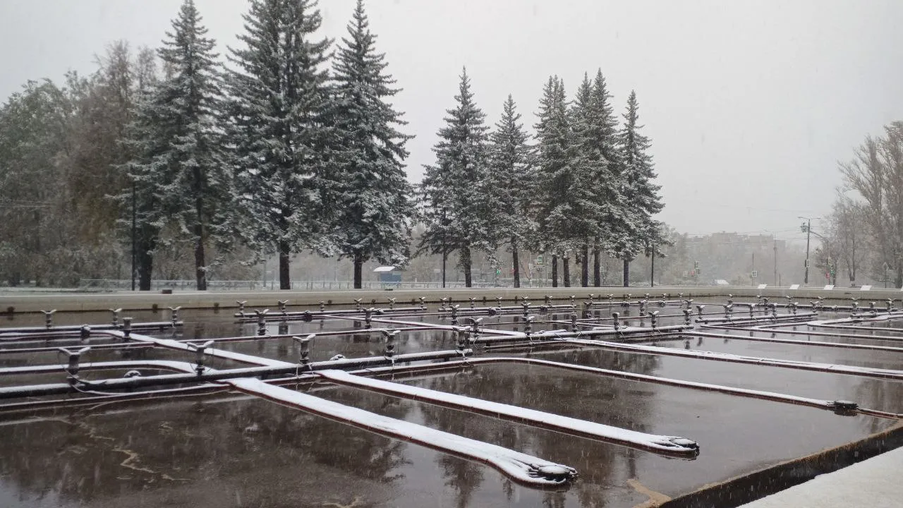 Фото: пресс-служба Администрации г.о. Серпухов