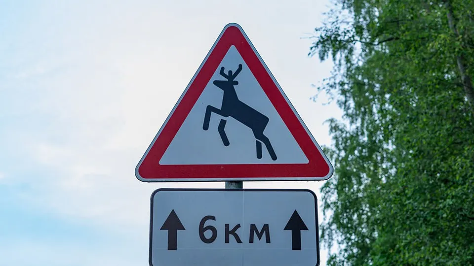 Фото: istockphoto.com