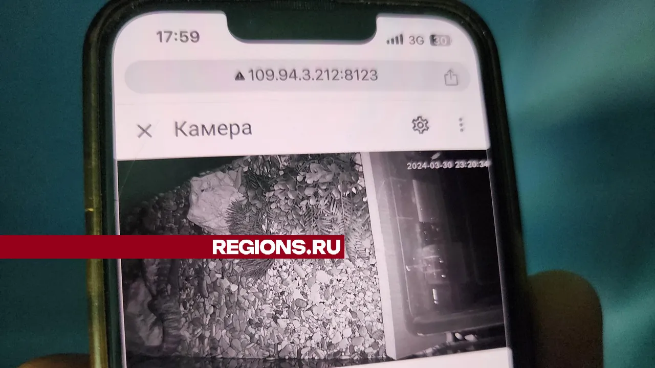 Фото: Мария Андрюхина