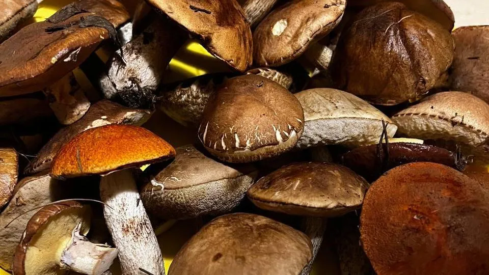 Фото: Анна Мороз