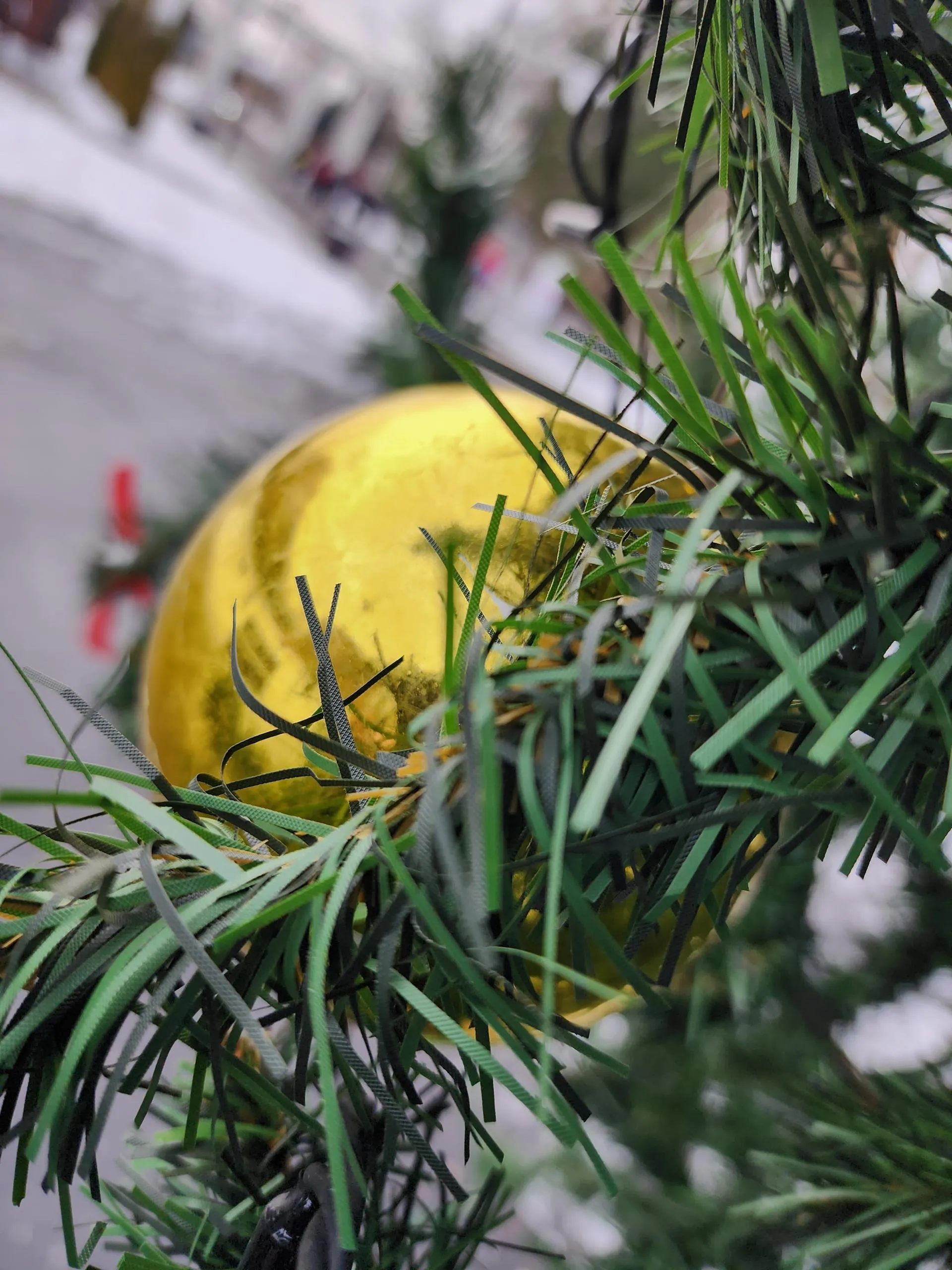 Фото: Ксения Пашуто