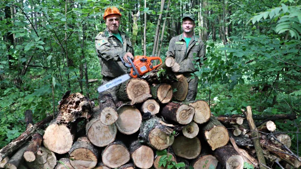 Фото: пресс-служба администрации Волоколамского м.о.