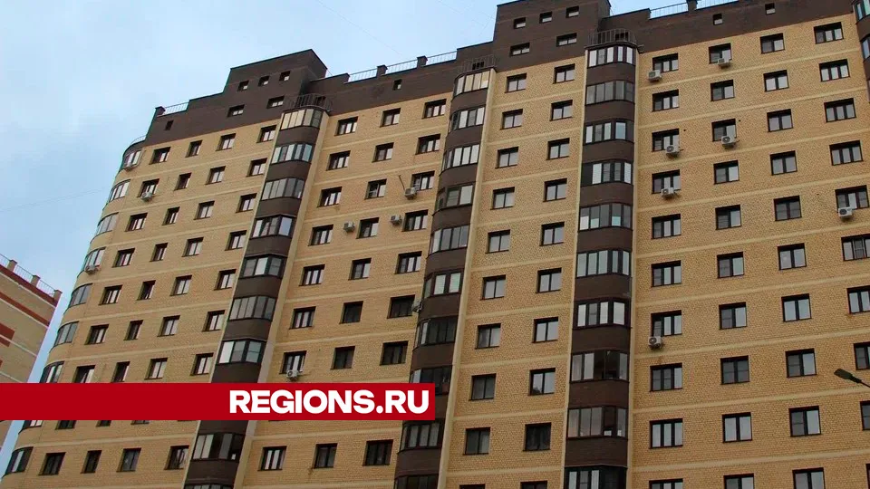 Фото: REGIONS/Василий Тремасов