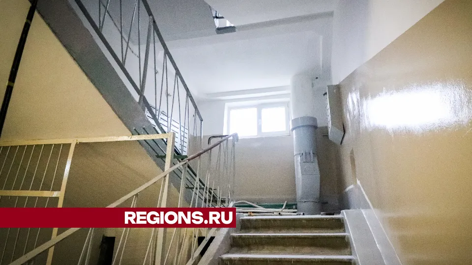 Фото: МедиаБанк Подмосковья/Данила Кирьянов