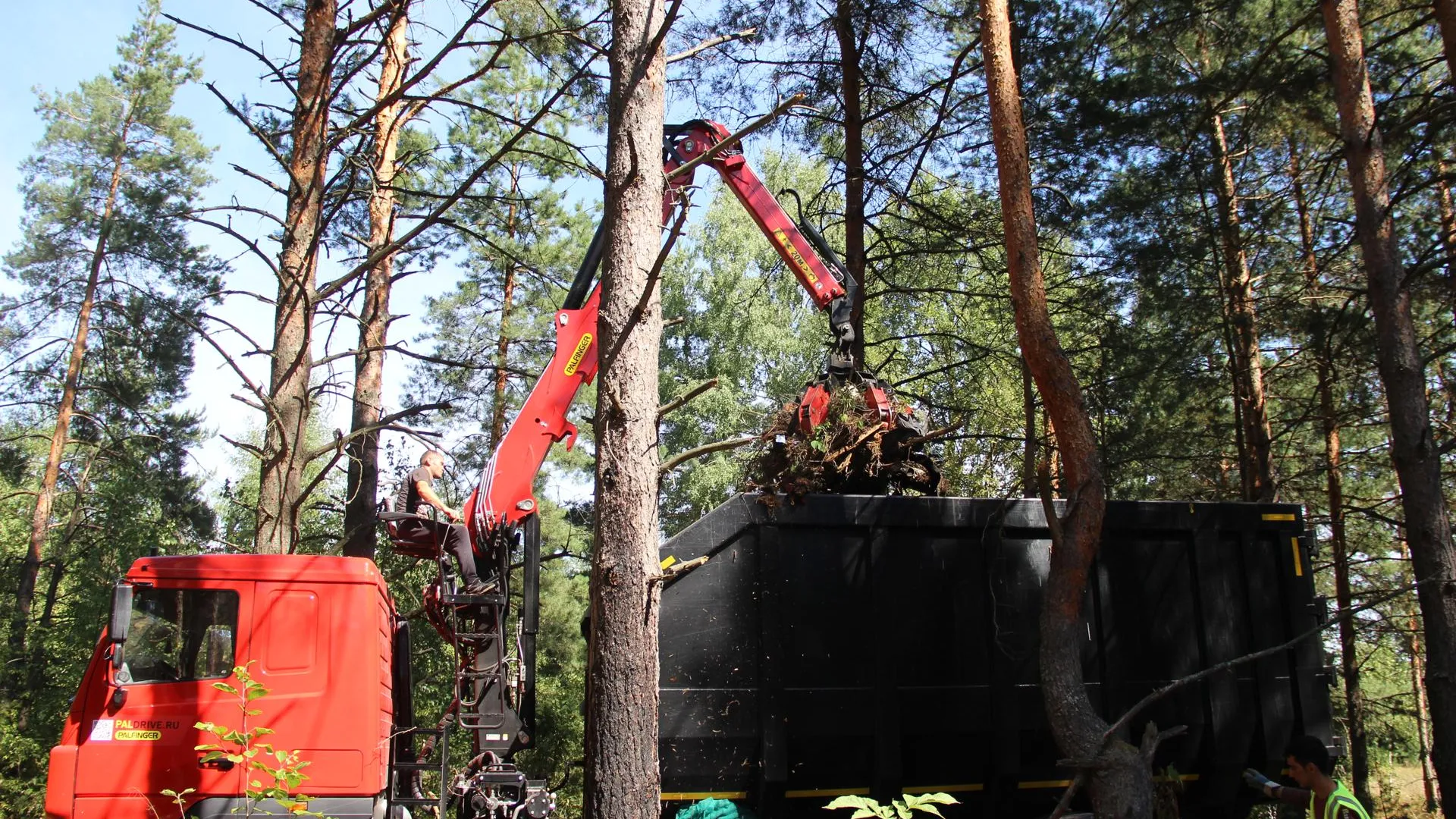 Фото: Василий Тремасров