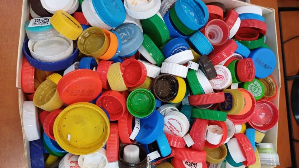 Фото: Администрация г.о. Чехов