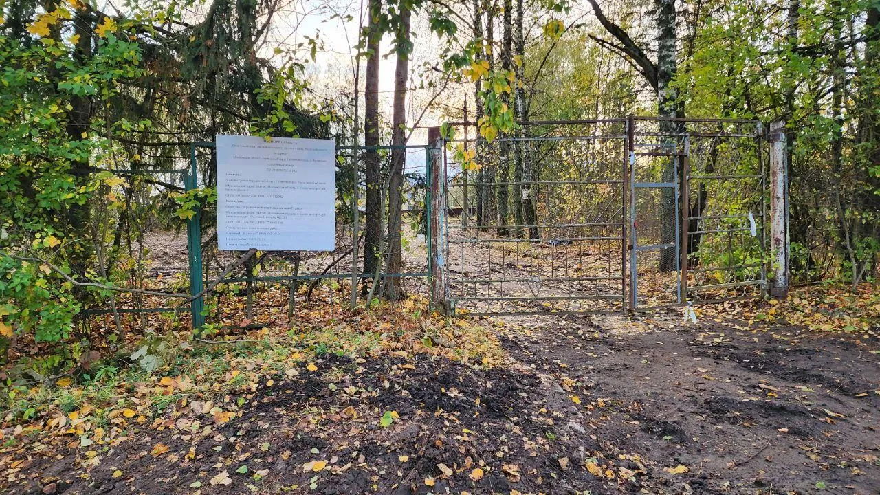 Евгения Герасимова