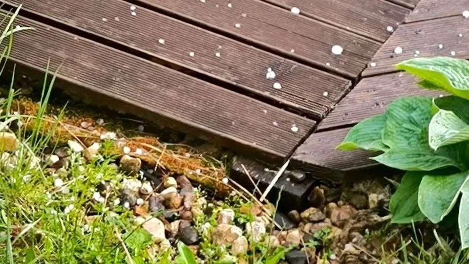 Фото: vk.com/Подслушано во Фрязино