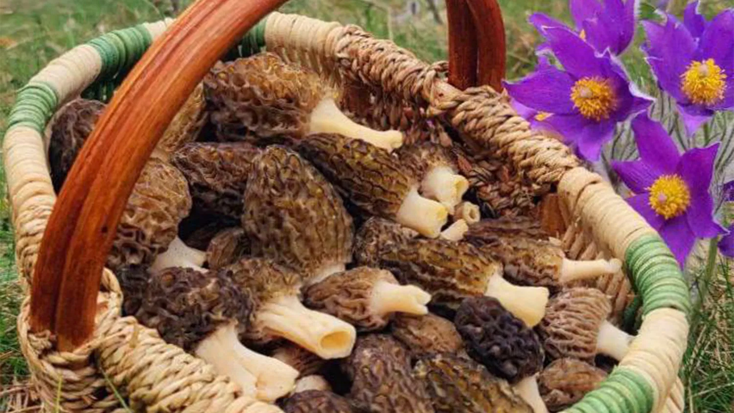 Фото: t.me/secret_Zaraysk