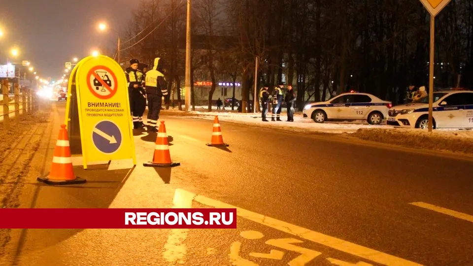 Фото: REGIONS/Василий Тремасов