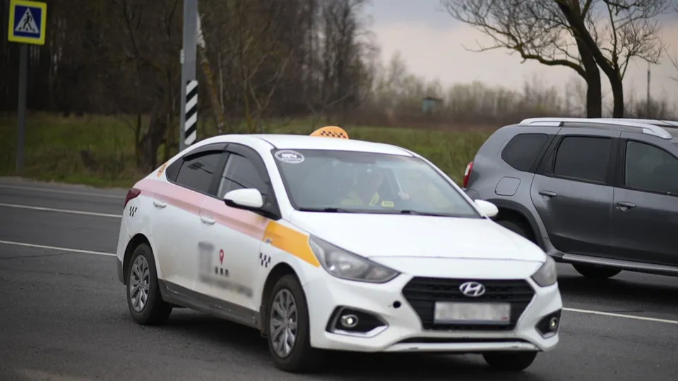 Фото: МедиаБанк Подмосковья / Ольга Антонова