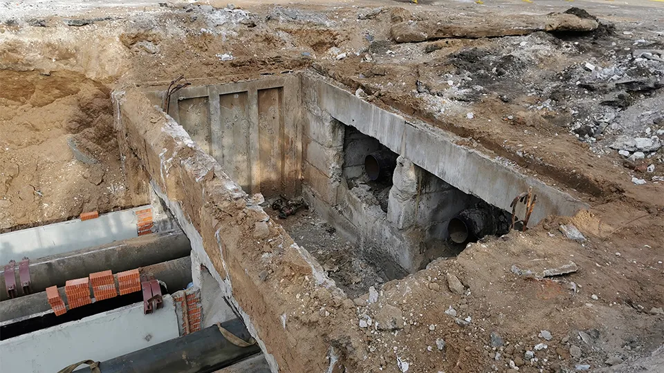 Фото: Евгений Лавряшин