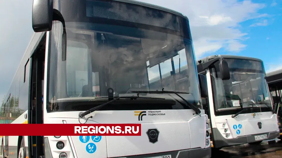 Фото: REGIONS/Василий Тремасов