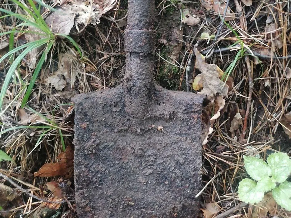 Фото: Общественная организация Ветераны ВС РФ города Лобня