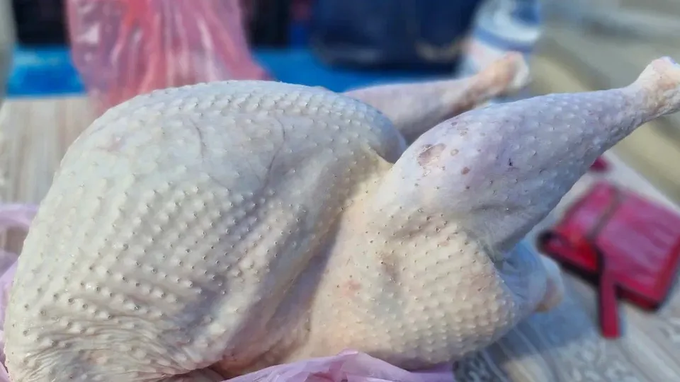 Фото: REGIONS/Наталия Надточая