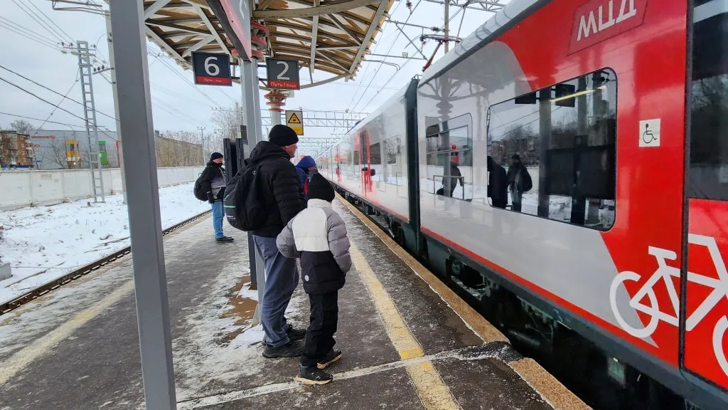 Фото: МедиаБанк Подмосковья/Эдуард Стратонов