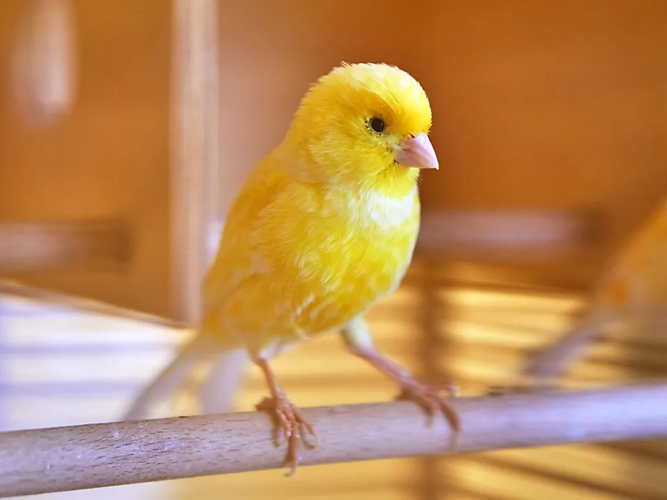 Фото:&nbsp;istockphoto.com