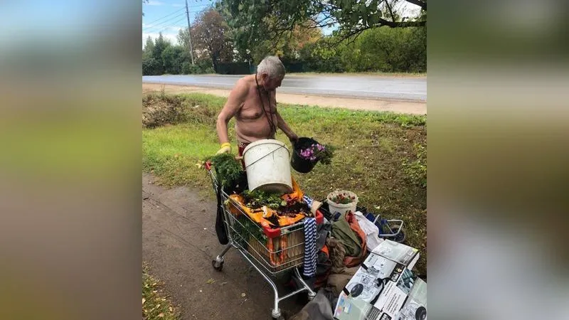 Павел Лапин