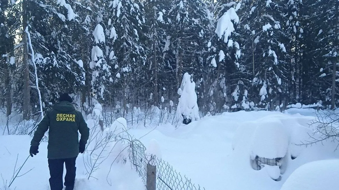 Комитет лесного хозяйства Московской области