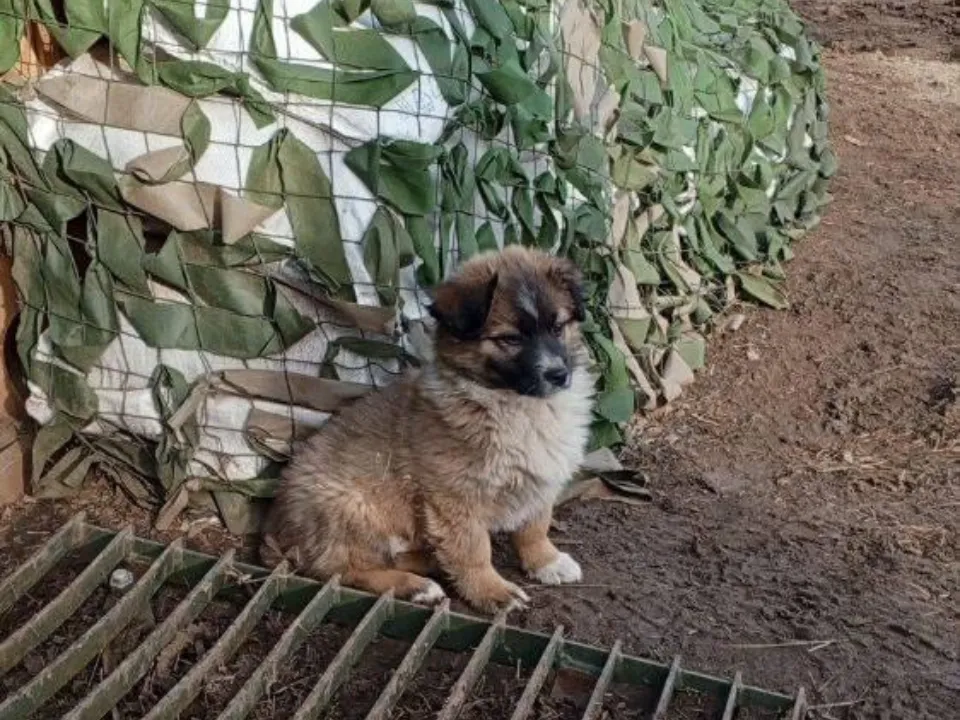 Фото: личный архив Ольги Вибе