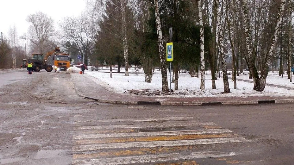 Фото: администрация Одинцовского городского округа