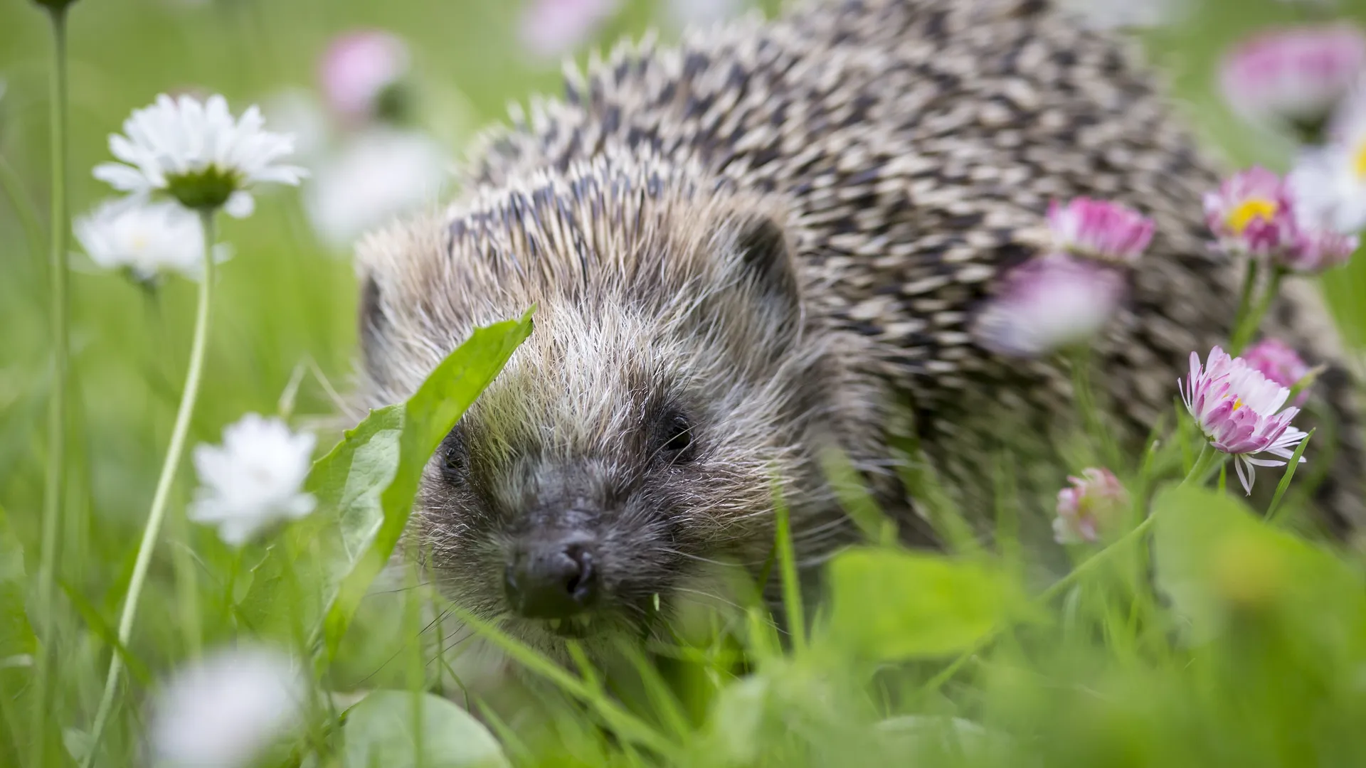 Фото: freepik.com