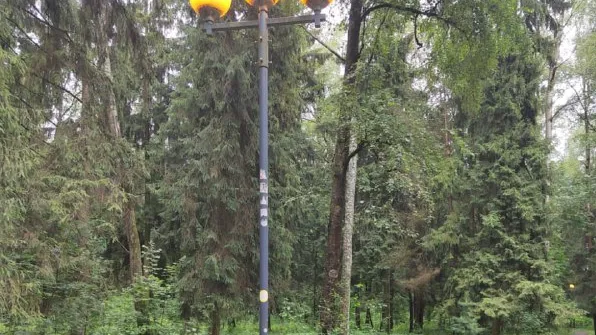 Фото: пресс-служба администрации Наро-Фоминского г.о.