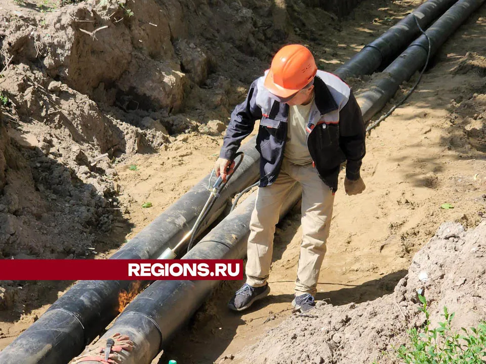 Фото: Валерия Тингаева