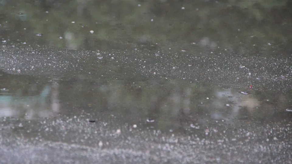 Фото: REGIONS/Василий Тремасов