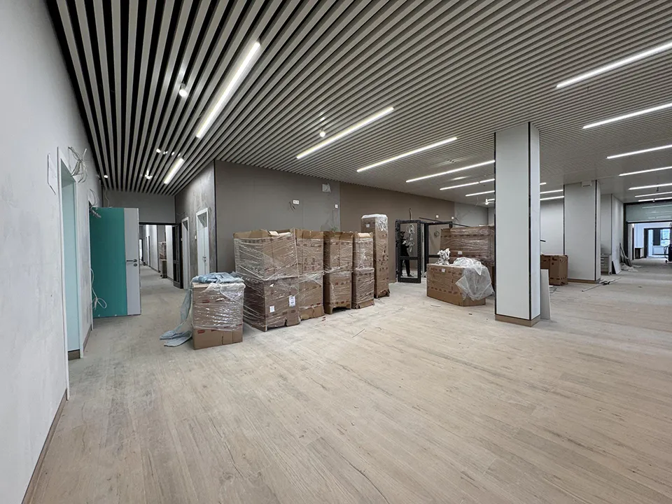 Фото: REGIONS/Мария Шматкова