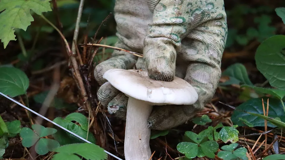 Фото: МедиаБанк Подмосковья/Андрей Алекин