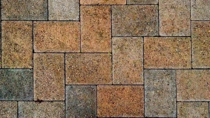 Первые «народные тропы» благоустроили в Подмосковье