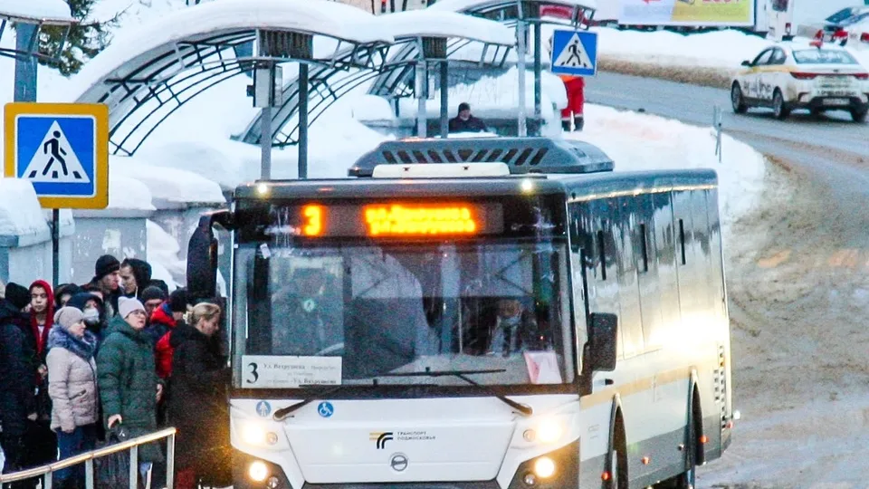 Фото: пресс-служба администрации г.о. Кашира