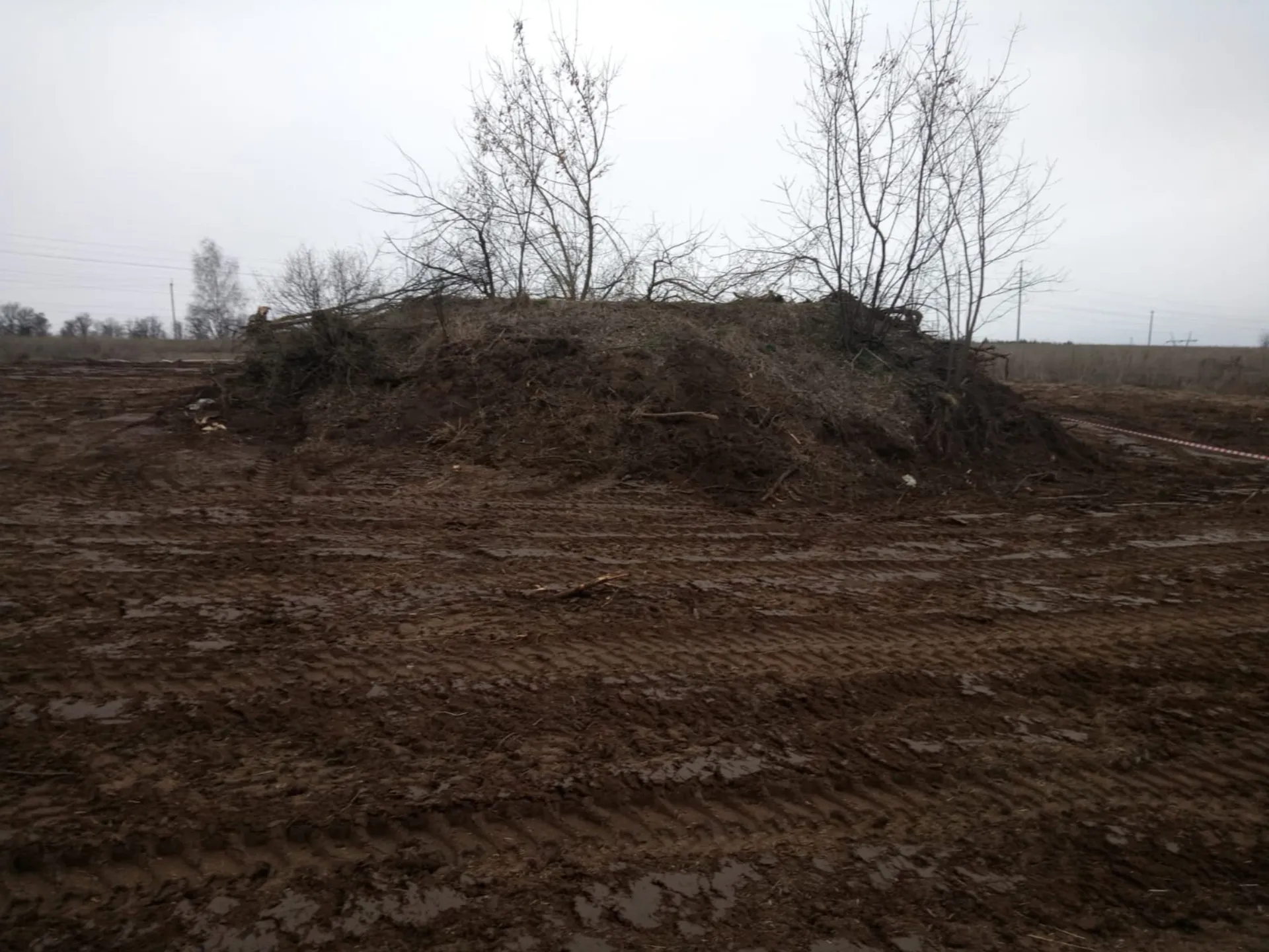 Фото: vk.com/Московское областное отделение ВООПИК