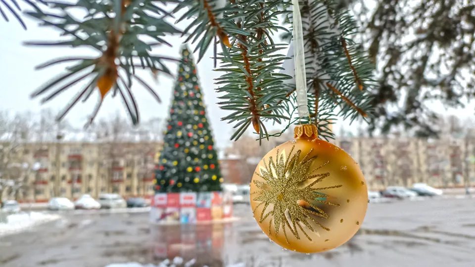 Фото: REGIONS/Дмитрий Кравцов