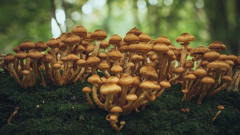 Фото: Владимир Данюшин