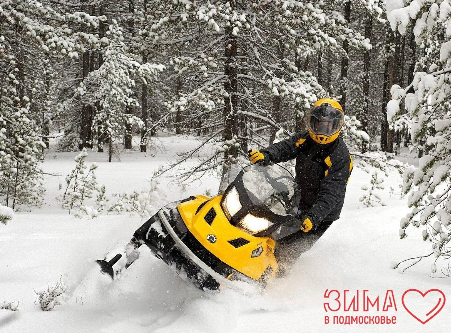 Евгений Рой