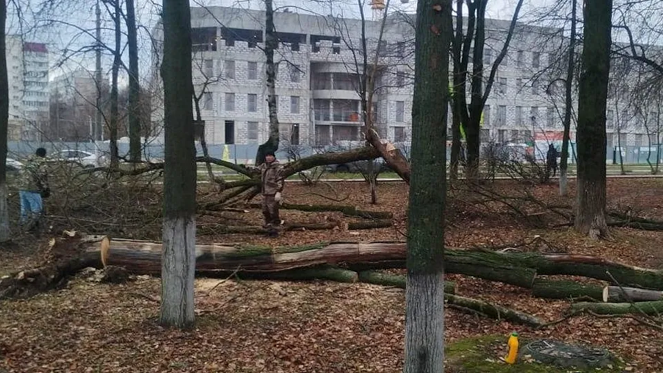 Фото: пресс-служба администрации г.о. Чехов