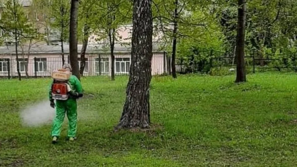 Фото: Администрация Павлово-Посадского г.о.