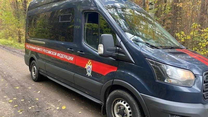 В Ногинске задержали местного жителя, подозреваемого в причинении смертельных травм мужчине битой